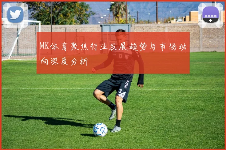 MK体育聚焦行业发展趋势与市场动向深度分析
