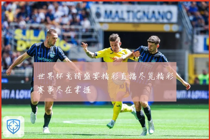 世界杯竞猜盛宴精彩直播尽览精彩赛事尽在掌握