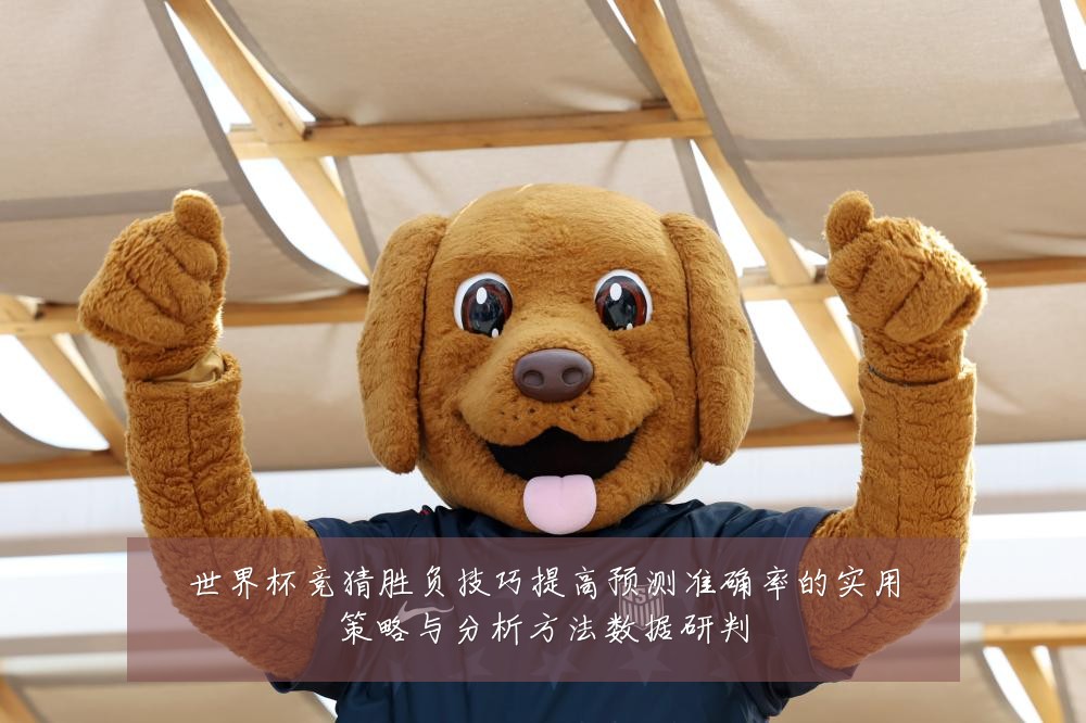 世界杯竞猜胜负技巧提高预测准确率的实用策略与分析方法数据研判