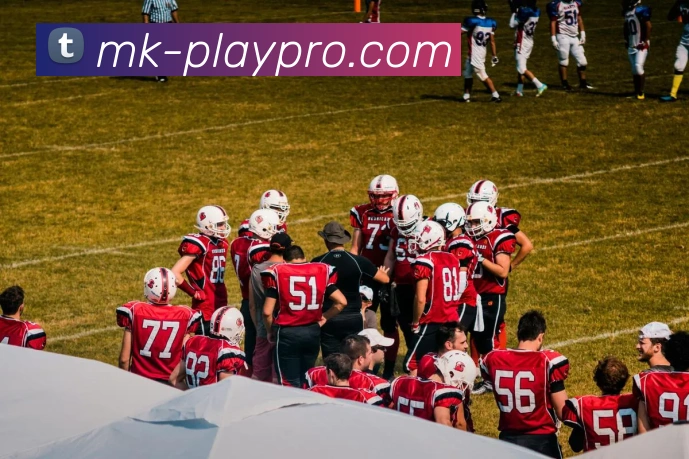 MK体育平台展示图